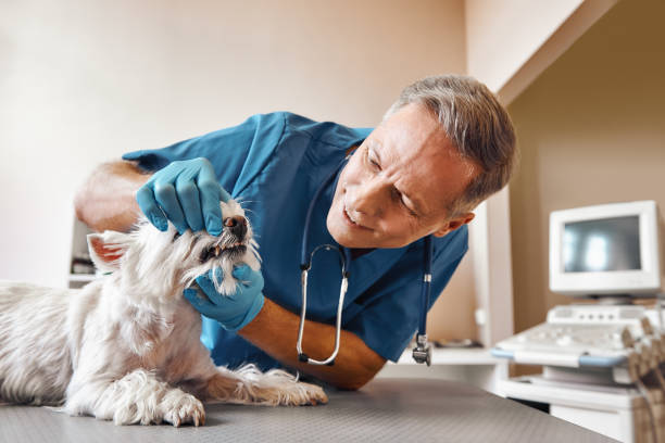 Best Emergency Tooth Extraction in Pearsall, TX